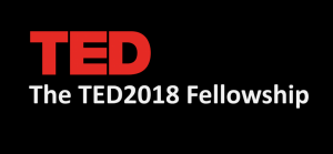 The TED 2018 Fellowship program (Fully Funded)